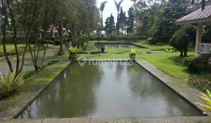 Villa Bagus,halaman luas di Cimacan Puncak 2