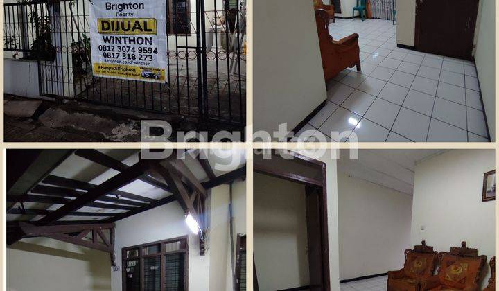 Kutisari 700jt an MURAH, Langka  Best Deal 1