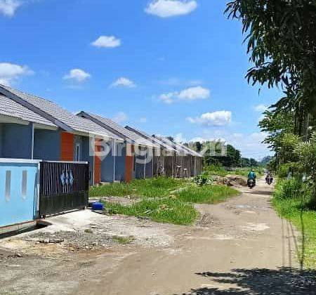 Mau Rumah Asri Dan Sejuk Dengan Harga Terjangkau 1