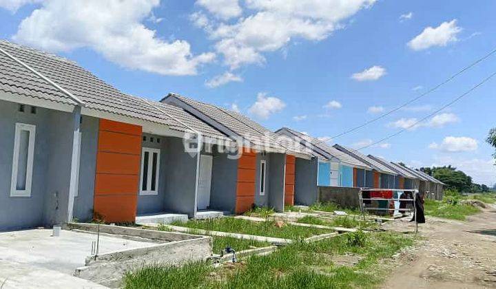 Mau Rumah Asri Dan Sejuk Dengan Harga Terjangkau 2