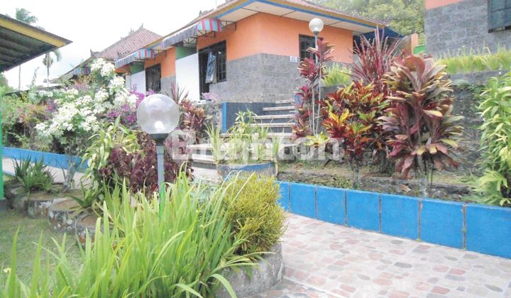 VILLA PONDOK WISATA DI PUPUAN HITUNG TANAH SAJA 2