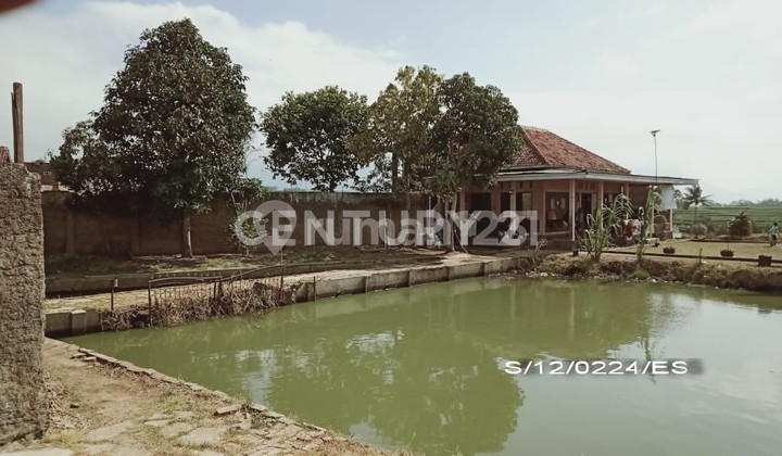 Rumah Luas Tanah Besar Taragong Garut Ada Kolam Ikan Rumah Luas Tanah Besar Taragong Garut Ada Kolam Ikan