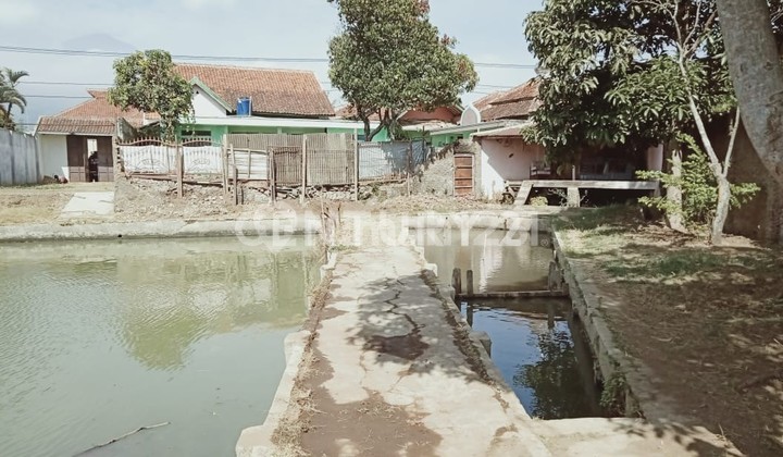 Rumah Luas Tanah Besar Taragong Garut Ada Kolam Ikan 2