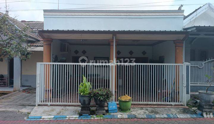 CEPAT RUMAH 1 LANTAI CANTIK & BAGUS HARGA SANGAT TERJANGKAU 1