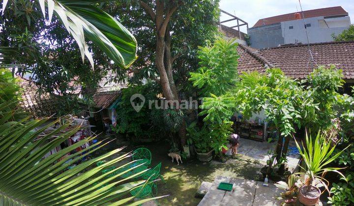 freehold house in Padang Sambian -  Kerobokan 2