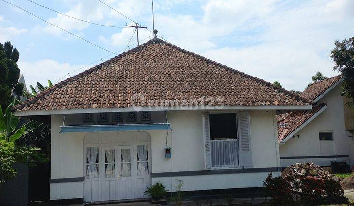 Rumah Gaya Kolonial Belanda Pusat Kota Purwokerto 2