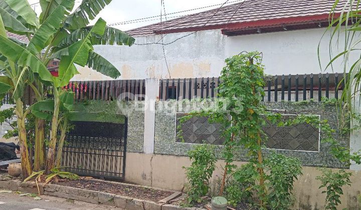 Rumah Kayu Putih Pulogadung Jakarta Timur 1