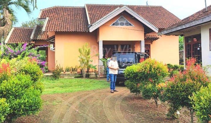 Rumah Berlahan Luas Kota Bumi Lampura 1