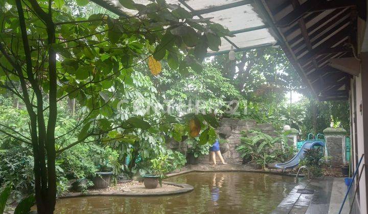 Rumah Tinggal cocok Usaha Di Tebet, Jakarta Selatan 2