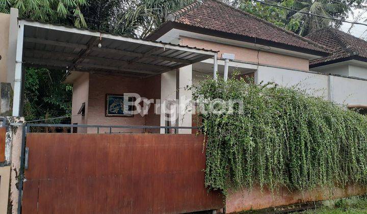 Rumah Asri Dekat Fasilitas Umum 1