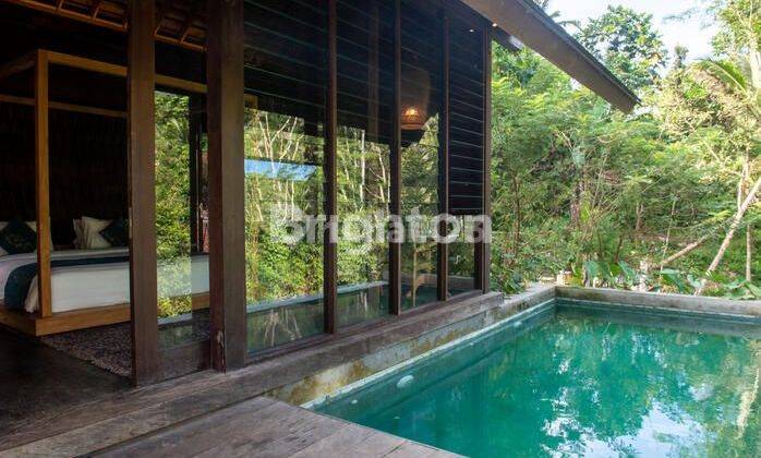 Modern Tropical Villa With Forest And River View Di Ubud