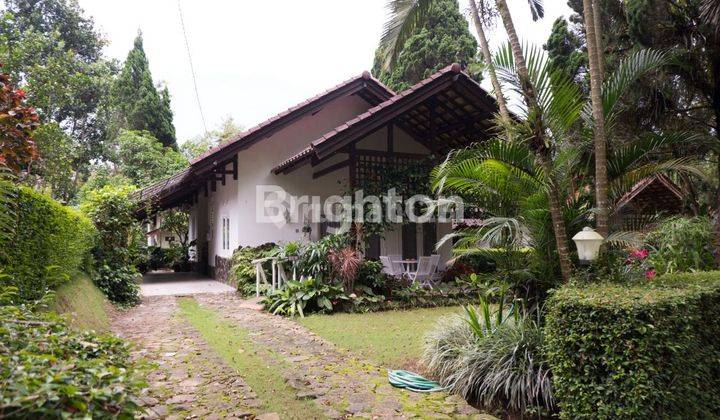 GRAND TRAWAS VILLA VIEW HUTAN PINUS SUNGAI 1