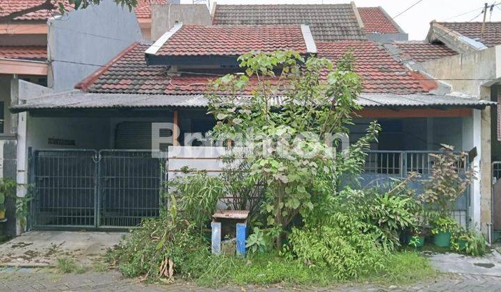 Rumah Minimalis Di Rewwin Waru 1