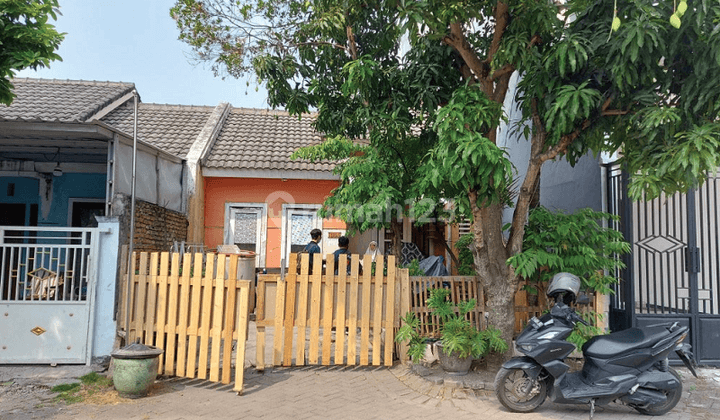 RUMAH BUKIT CITRA MAS GRESIK 21669 1