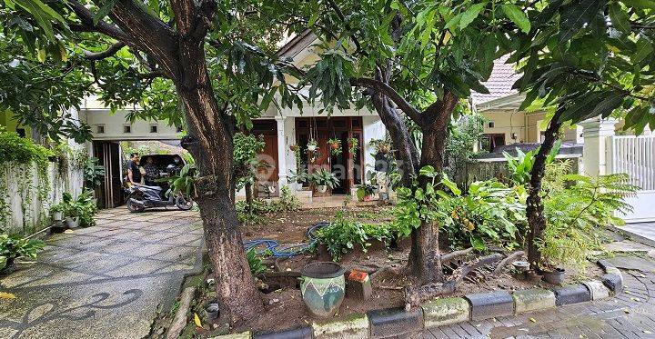 RUMAH DARUSAA'DAH REGENCY GRESIK 36028 1