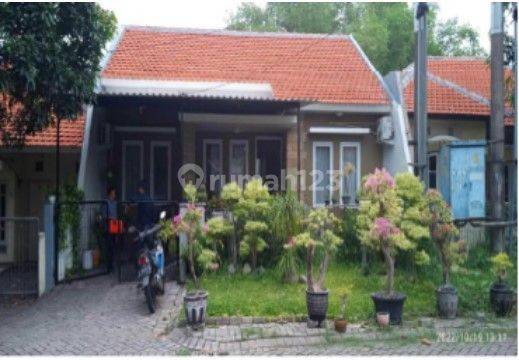 RUMAH BANYUURIP GRESIK 38761 1