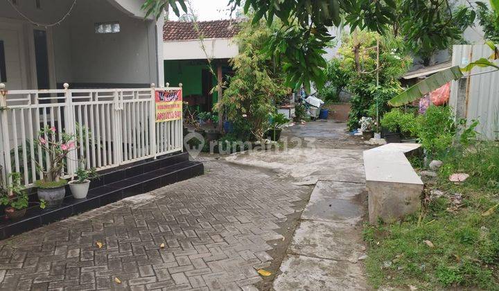 RUMAH LABAN KULON GRESIK 44106 2