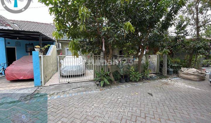 RUMAH BRINGKANG GRESIK 43314OMDAS 1