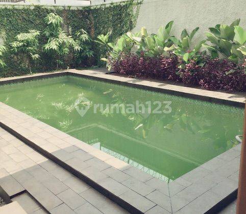 Rumah mewah dgn design modern dan swimming pool 2