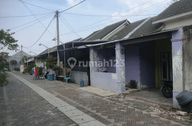 RUMAH PURI AMERTA REGENCY GRESIK 61869 2