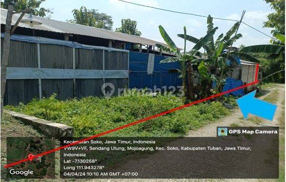 RUMAH MOJOAGUNG TUBAN 64495 2