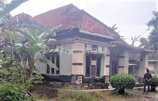 RUMAH KEBOJONGAN PEMALANG 61691 1