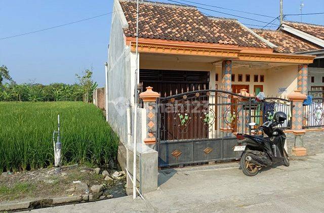 RUMAH SIRANGKANG PEMALANG 65691 2