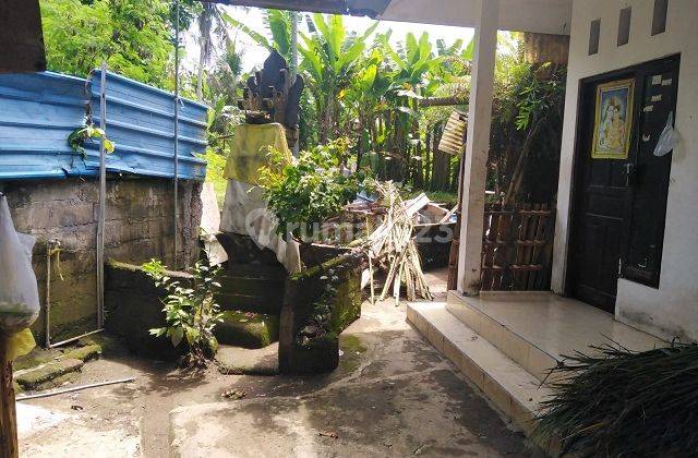 RUMAH BITERA GIANYAR 71035 2