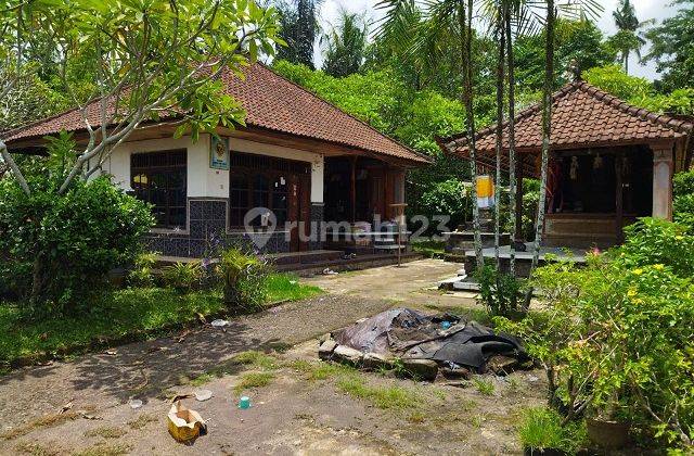 RUMAH SEMBUNG GEDE TABANAN 71013 1