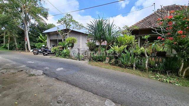 WHITE WOODEN HOUSE BULELENG 69278 2