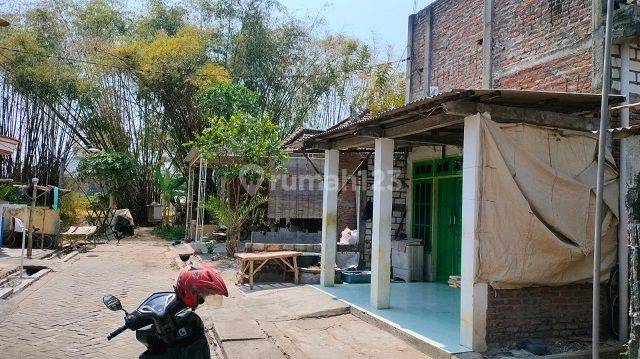 RUMAH NGEPUNG GRESIK 77130 1