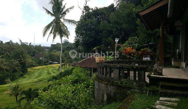 Villa tepi sungai dengan view bagus di Tabanan Bali 1