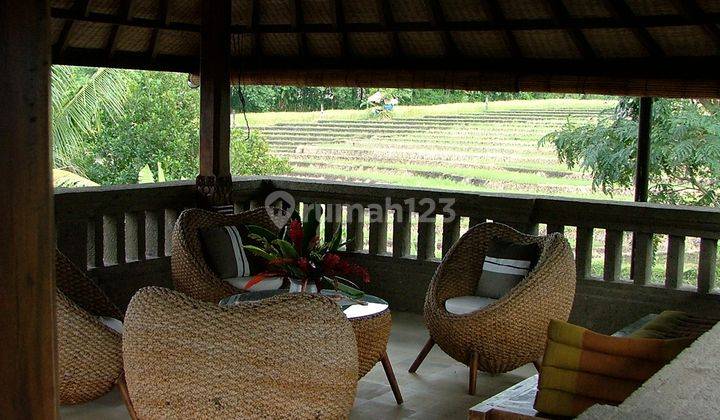 Fantastic Villa with great ricefield view 2