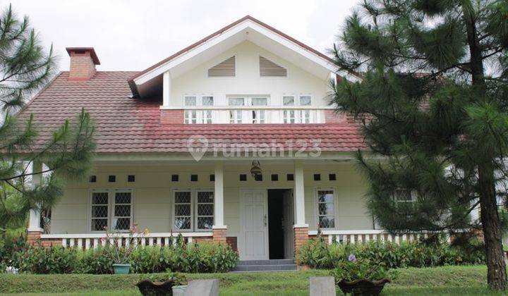 Villa Terawat Siap Huni Dgn Udara Sejuk Pegunungan Gadog Bogor 2