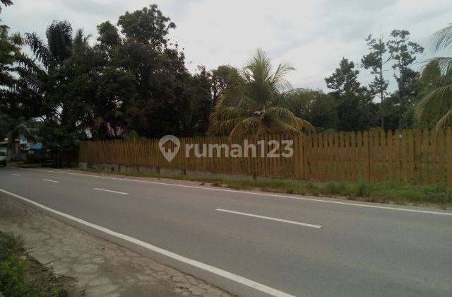 RUMAH/VILLA/COTAGE /KEBUN  BUAH SANGAT LUAS 2