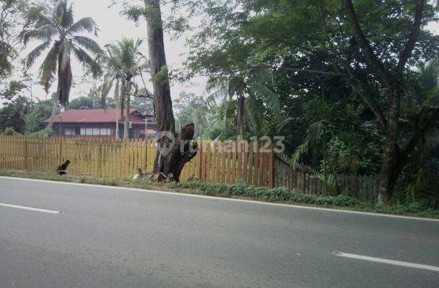 Rumah/villa/cotage /kebun Buah Sangat Luas Sangat Strategis 2