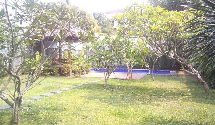 Big House..big Pool...spacious garden in kemang 1