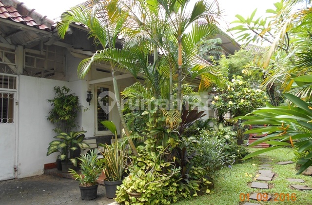 Menteng , Jl. Sumenep , Rumah Terawat Kawasan Thamrin, 2