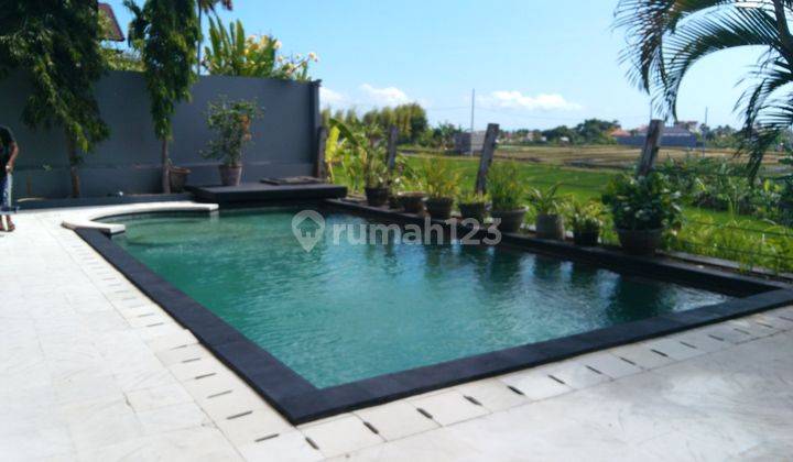 Villa Minimalis View Sawah Umalas Bumbak 1