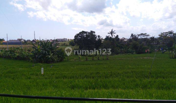 Villa Minimalis View Sawah Umalas Bumbak 2