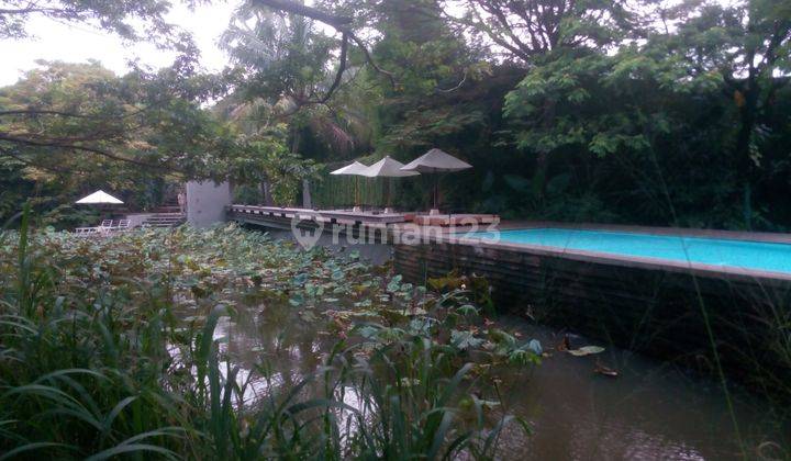 Rumah Cantik tenang harga murah di Jati Padang jakarta selatan 2