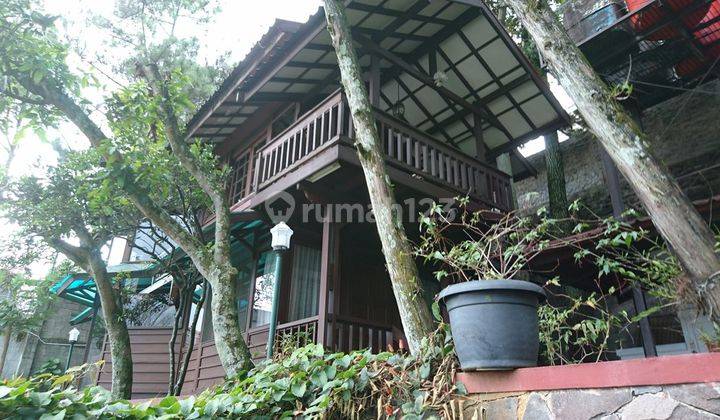 Rumah Kayu (Wood House) Sayap Setiabudi Bandung 2