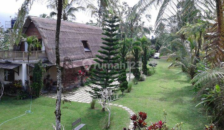 Charming Sebatu top villa with cool air 1