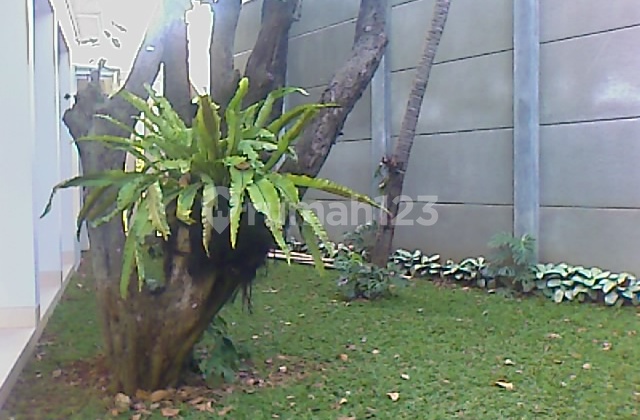 Beautiful House with Nice Pool at Cilandak Area 2