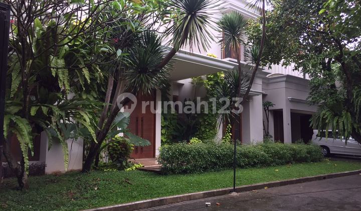 Beautiful House with Nice Pool at Cilandak Area Beautiful House with Nice Pool at Cilandak Area