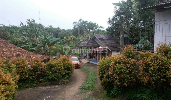 rumah asri ada kolam peternakan ikan termurah @PARUNG BOGOR 1