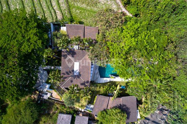 Luxurious Designer Villa In Canggu - Freehold - 1563 -NS 1