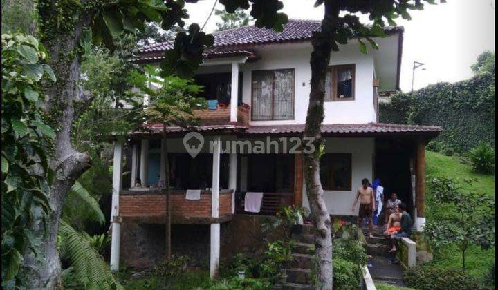 villa luas di cibatok bogor SHM murah dan puas 1