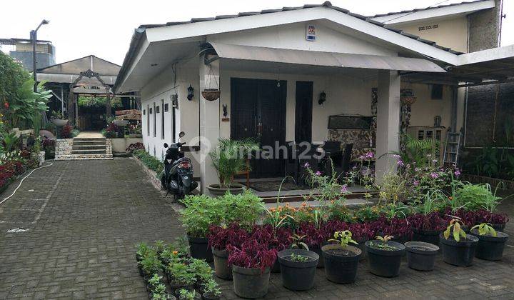 Rumah Tinggal dan Cafe yang sejuk asri 1