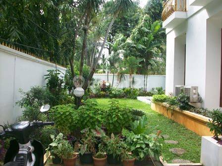 light house, large size room. Nice greeny garden at quiet area 1